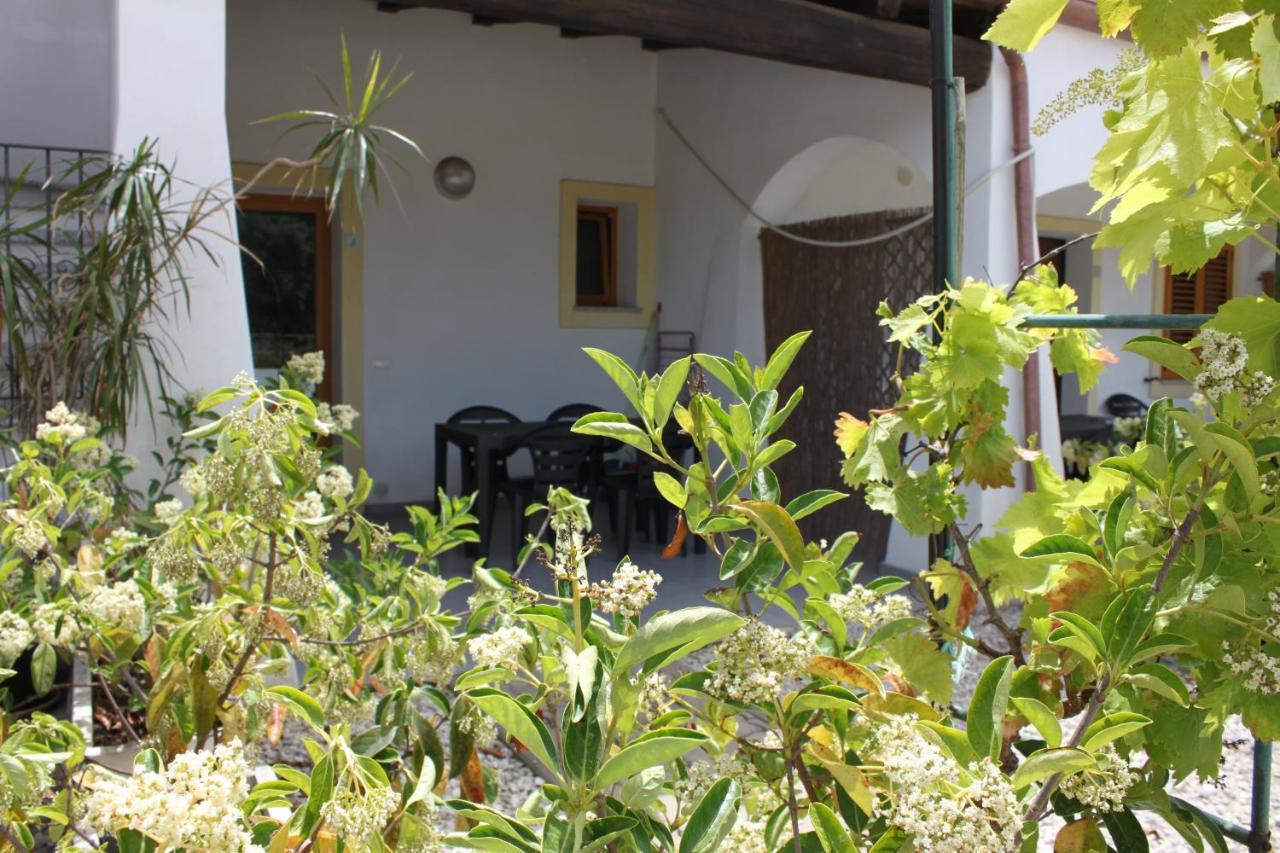 Binja Fortuna Àrbatax Exterior foto